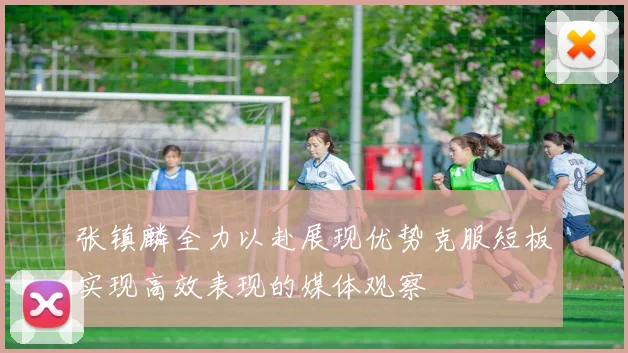 张镇麟全力以赴展现优势克服短板实现高效表现的媒体观察