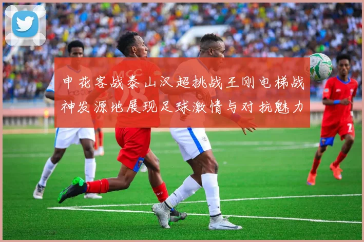申花客战泰山汉超挑战王刚电梯战神发源地展现足球激情与对抗魅力